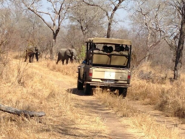 Imagen general del Hotel Wild Olive Tree Camp. Foto 7