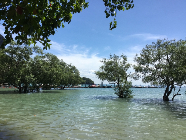 Imagen de los exteriores del Hotel Wild Orchid Krabi By Villa Cha Cha. Foto 7