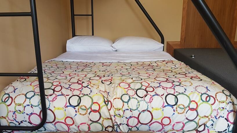 Imagen general del Hotel Wild Zebra Backpackers. Foto 7