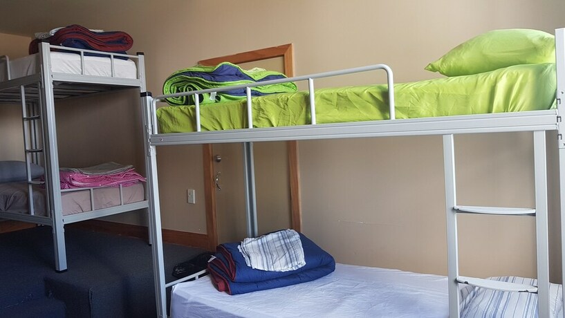 Imagen de la habitación del Hotel Wild Zebra Backpackers. Foto 24
