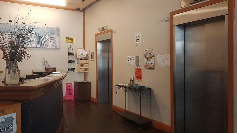 Imagen de los interiores del Hotel Wild Zebra Backpackers. Foto 34