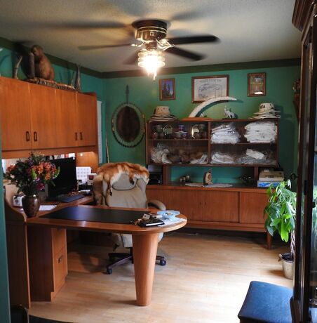 Imagen general del Hotel WildExodus Outdoors. Foto 8