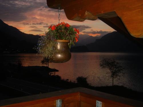 Imagen general del Hotel Wildbach. Foto 3