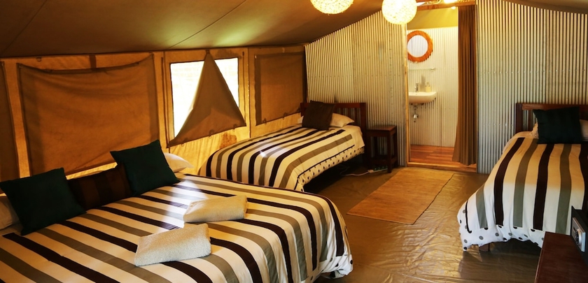 Imagen de la habitación del Hotel Wildebeest Eco Camp. Foto 6