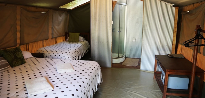 Imagen de la habitación del Hotel Wildebeest Eco Camp. Foto 7