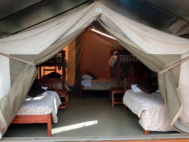 Imagen de la habitación del Hotel Wildebeest Eco Camp. Foto 9