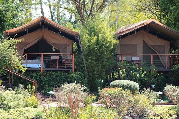 Imagen general del Hotel Wildebeest Eco Camp. Foto 1