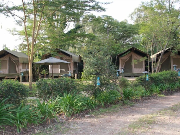 Imagen de la habitación del Hotel Wildebeest Eco Camp. Foto 17