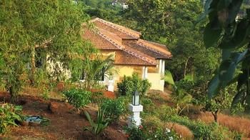Imagen de los interiores del Hotel Wildflower Villas. Foto 16