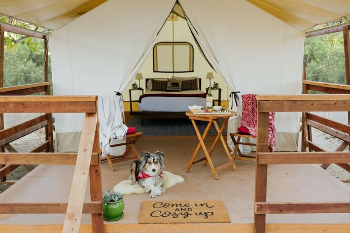Imagen de la habitación del Hotel Wildhaven Sonoma Glamping. Foto 14