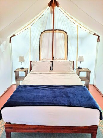 Imagen de la habitación del Hotel Wildhaven Sonoma Glamping. Foto 19
