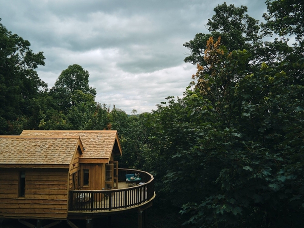 Imagen de la habitación del Hotel Wildhive Callow Hall. Foto 2