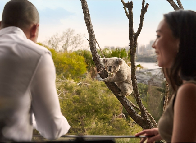 Imagen de la habitación del Hotel Wildlife Retreat At Taronga. Foto 14