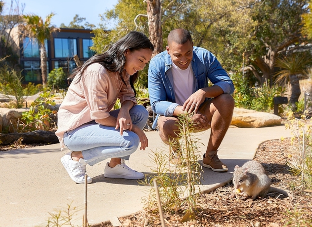 Imagen general del Hotel Wildlife Retreat At Taronga. Foto 3