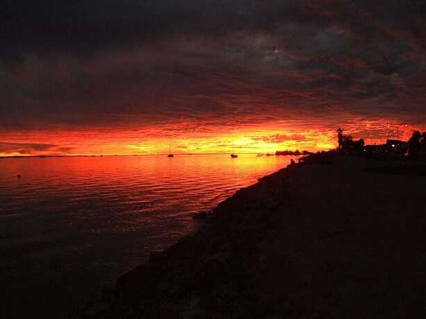 Imagen general del Hotel Wildsights Beach Units. Foto 10