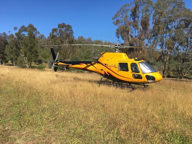 Imagen general del Hotel Wildwood Guesthouse. Foto 5