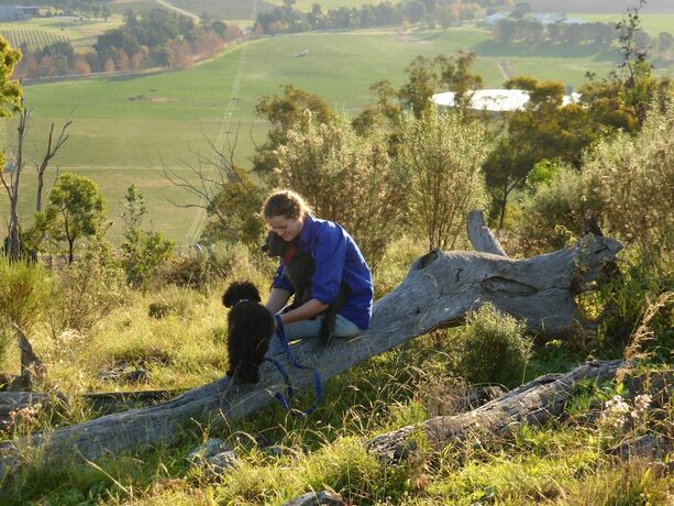 Imagen general del Hotel Wildwood Guesthouse. Foto 10