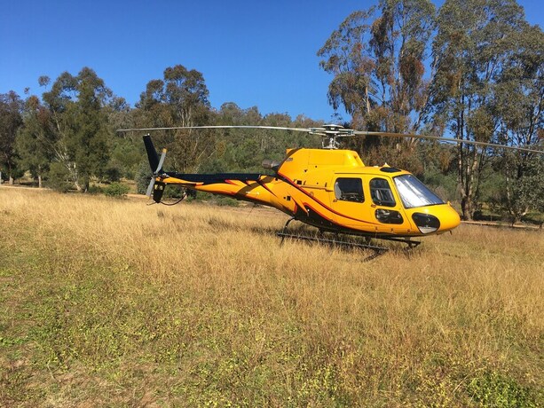 Imagen general del Hotel Wildwood Guesthouse. Foto 2