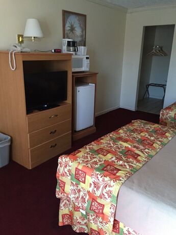 Imagen de la habitación del Hotel Wildwood Inn Tropical Dome And Theme Suites. Foto 15