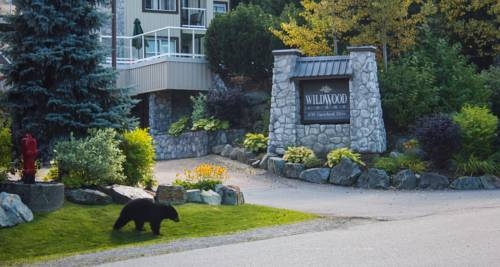 Imagen general del Hotel Wildwood Lodge by Peak to Green Accommodations. Foto 2