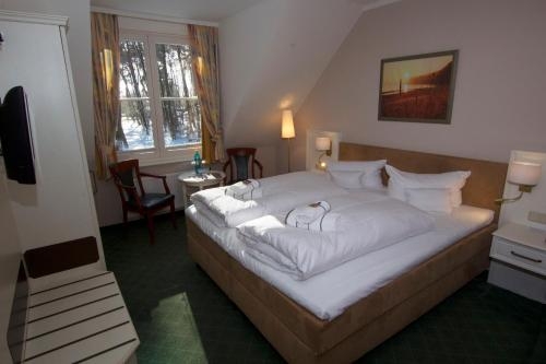 Imagen de la habitación del Hotel Wilhelmshöhe, Diedrichshagen. Foto 7