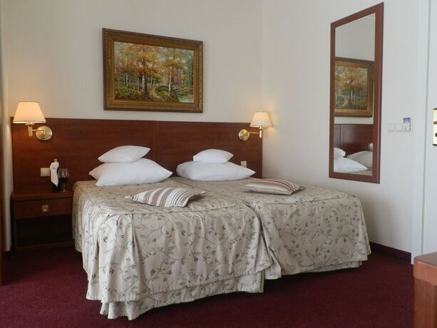 Imagen general del Hotel Willa Alexander Resort and Spa. Foto 14