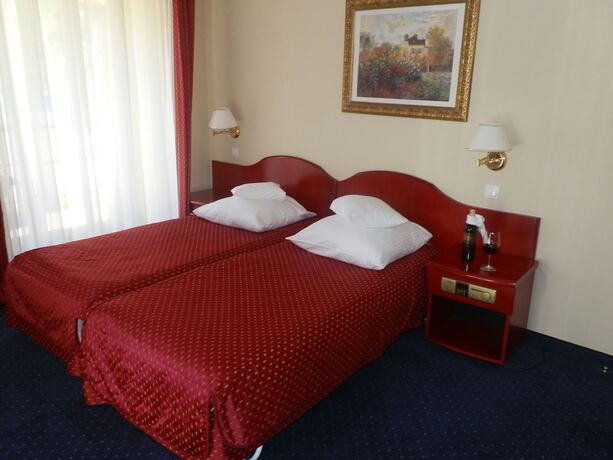 Imagen de la habitación del Hotel Willa Alexander Resort and Spa. Foto 20