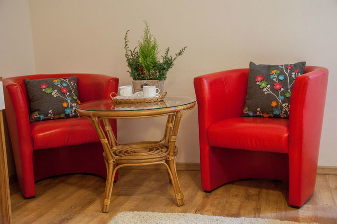 Imagen de los interiores del Hotel Willa Ryś. Foto 15