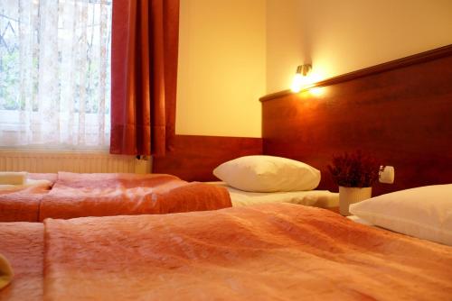 Imagen de la habitación del Hotel Willa Sanssouci. Foto 10