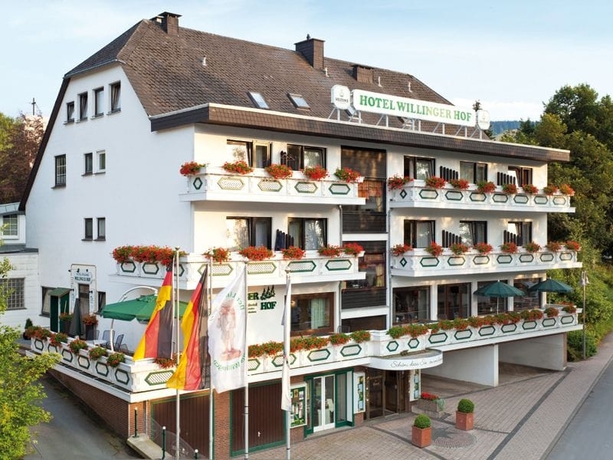 Imagen general del Hotel Willinger Hof. Foto 1