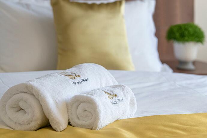 Imagen general del Hotel Willis Business & Wellness. Foto 1