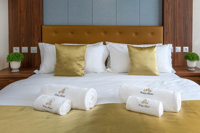 Imagen general del Hotel Willis Business & Wellness. Foto 7