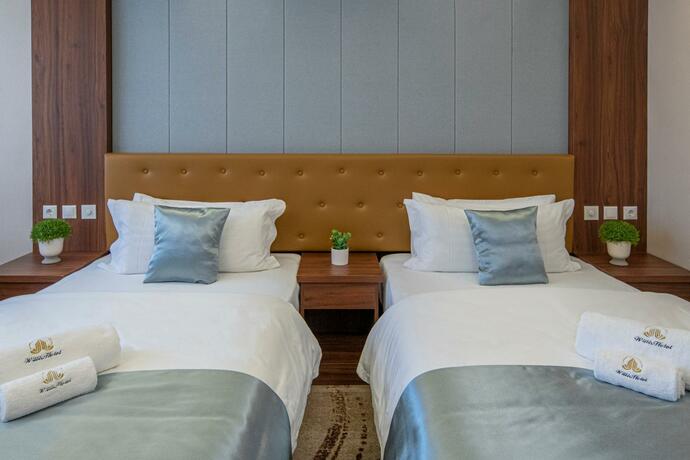 Imagen general del Hotel Willis Business & Wellness. Foto 10