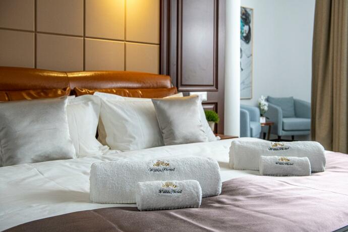 Imagen general del Hotel Willis Business & Wellness. Foto 23