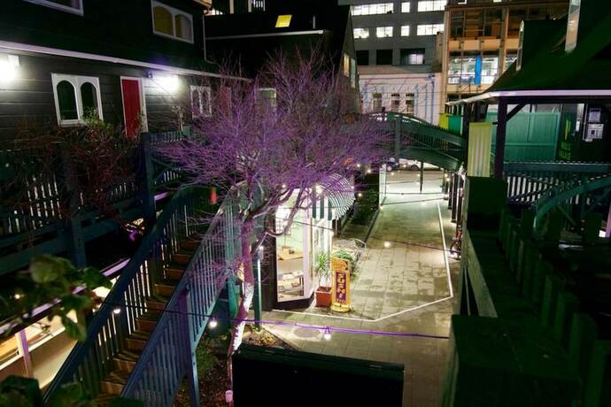 Imagen general del Hotel Willis Village. Foto 16