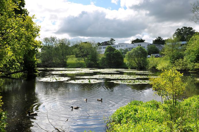 Imagen de los exteriores del Hotel Willow Court. Foto 9