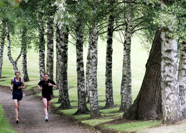 Imagen de los interiores del Hotel Willow Court. Foto 14