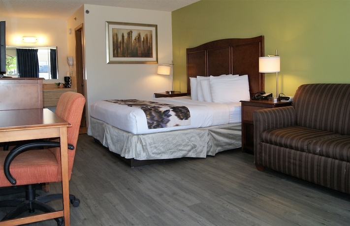 Imagen de la habitación del Hotel Willow Tree Inn, Branson. Foto 4