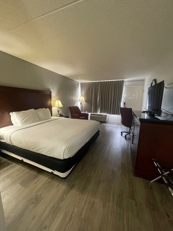 Imagen de la habitación del Hotel Willow Tree Inn, Branson. Foto 13