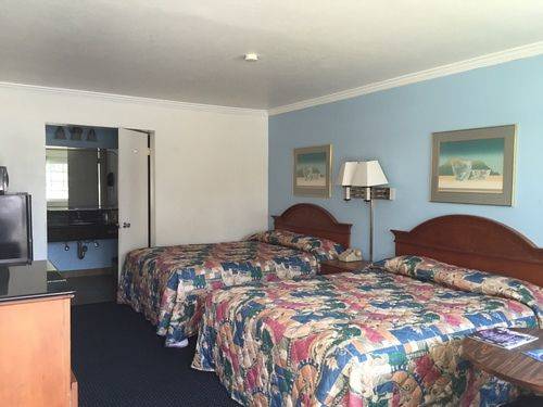 Imagen de la habitación del Hotel Willow Tree Lodge. Foto 5