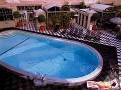 Imagen de la piscina del Hotel Wilshire Grand. Foto 8