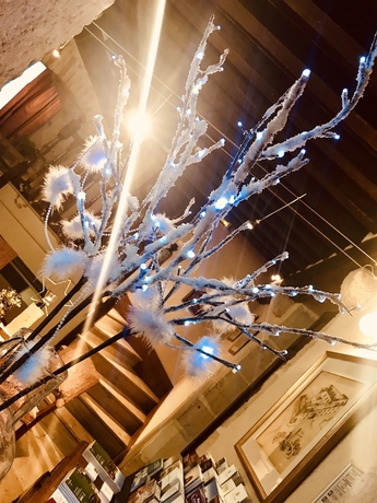 Imagen de los interiores del Hotel Wilson, Dijon. Foto 19