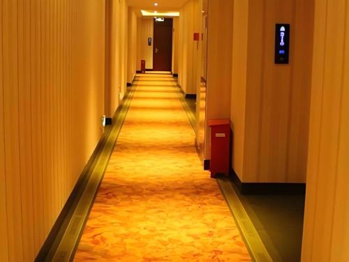 Imagen general del Hotel Wilson Holiday. Foto 4