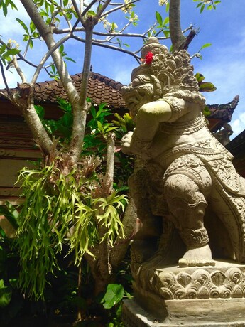 Imagen de la habitación del Hotel Wina Ubud Bandb. Foto 25