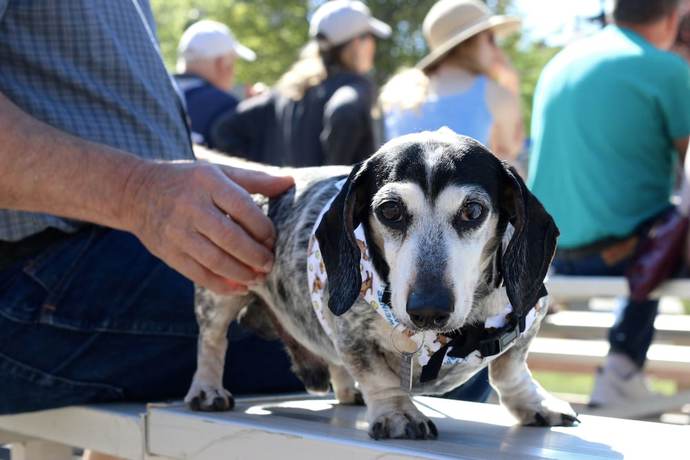 Imagen general del Hotel Windrow Downtown Ellensburg. Foto 2