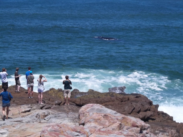 Imagen de los exteriores del Hotel Windsor, HERMANUS. Foto 6