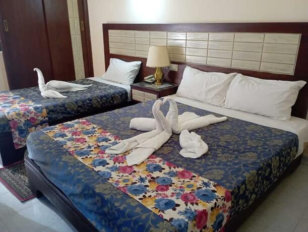 Imagen general del Hotel Windsor Luxor. Foto 14