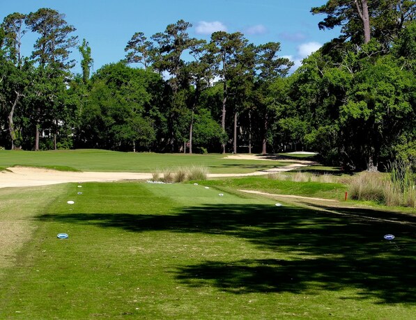 Imagen general del Hotel Windward Point Condominiums. Foto 15