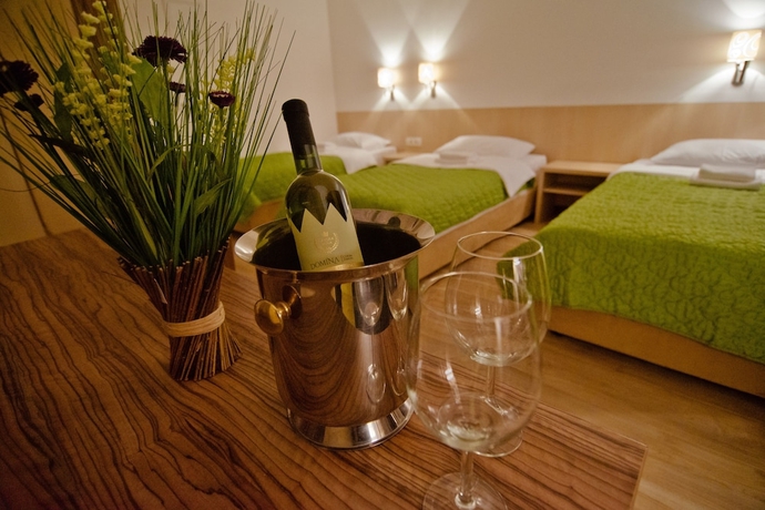 Imagen de la habitación del Hotel Wine Cesarica. Foto 6