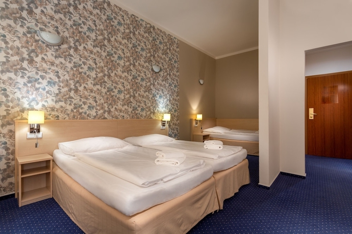 Imagen de la habitación del Hotel Wine Wellness Amande. Foto 8